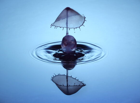 dropController. The most advanced water drop system available.